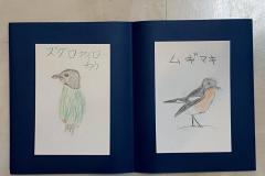 鳥図鑑